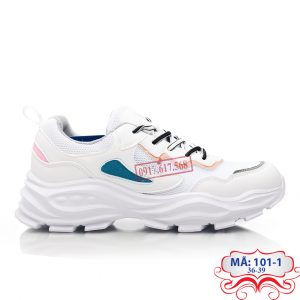 giày thể thao anh khoa A101-1_white