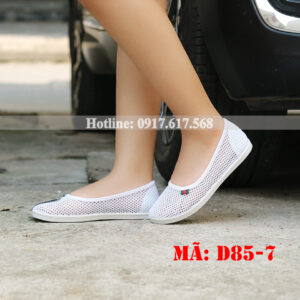 giày lưới nữ anh khoa D85-7